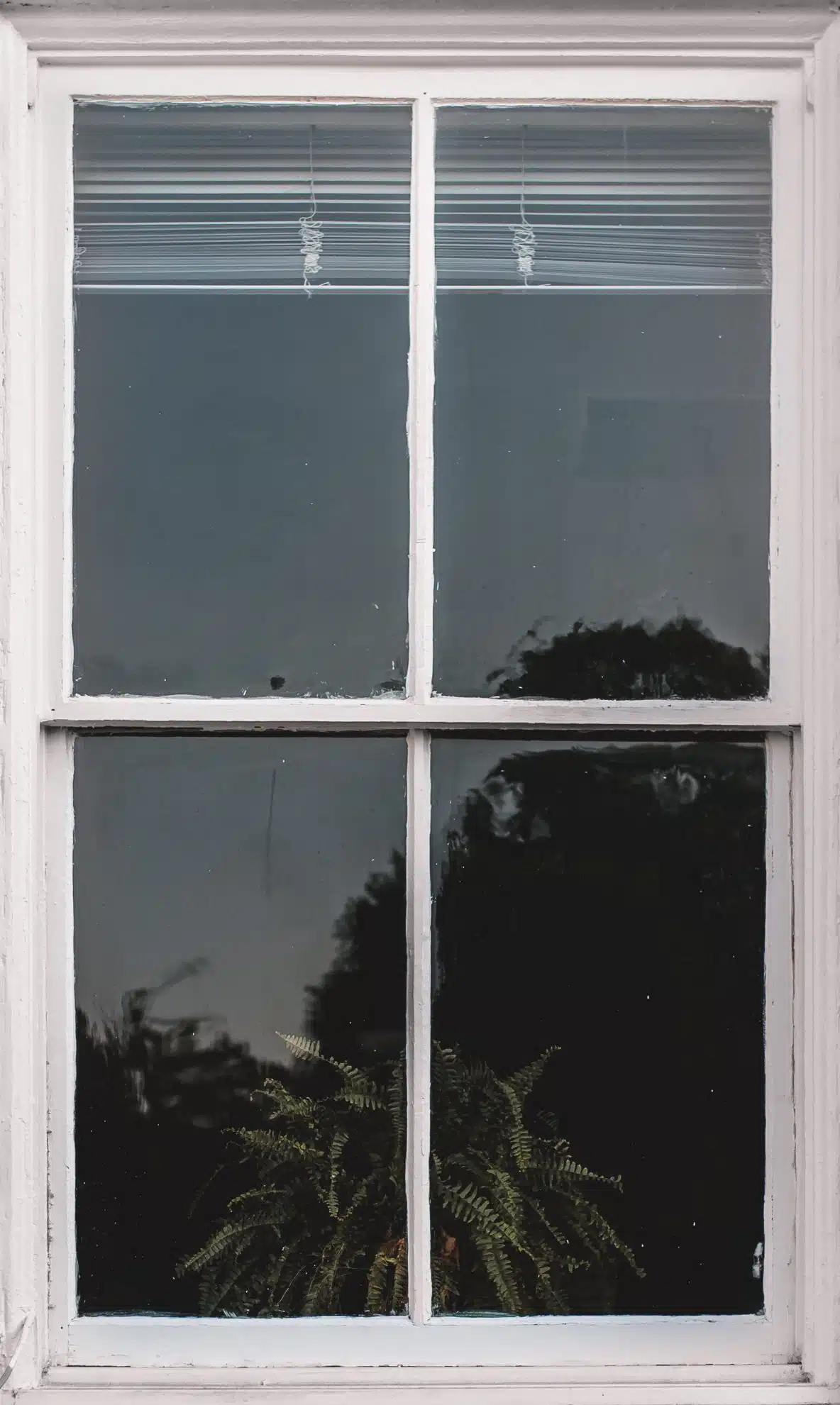 Featured image for “Common Window Issues and Solutions”